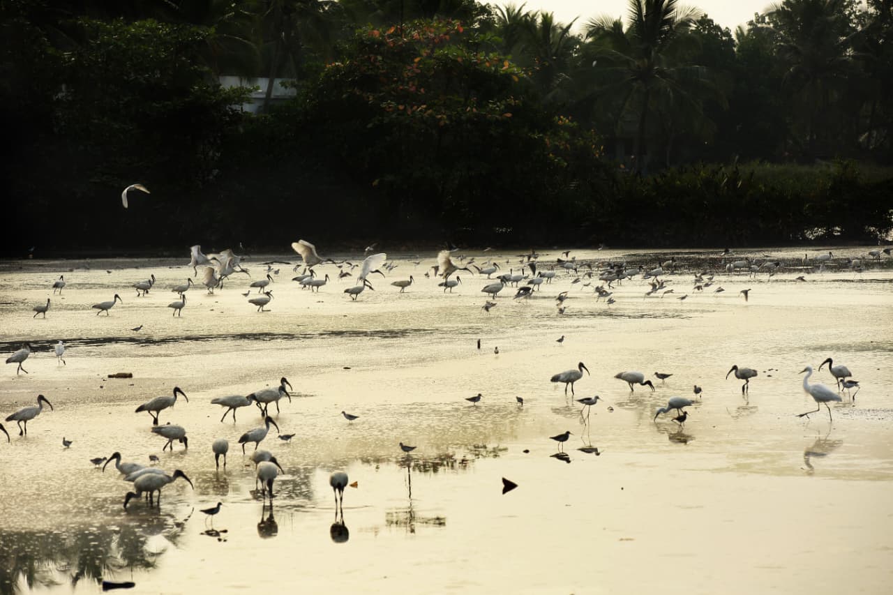VALANTHAKADU ISLAND
