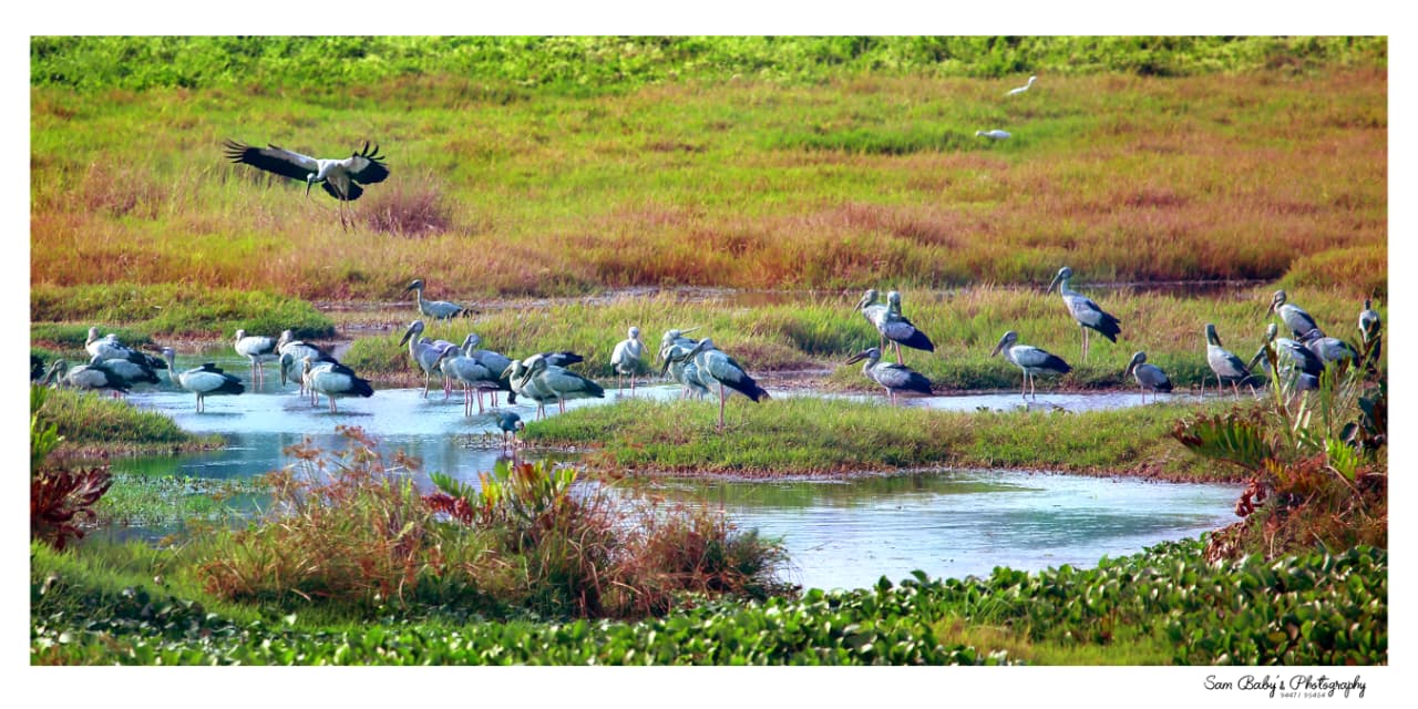 VALANTHAKADU ISLAND