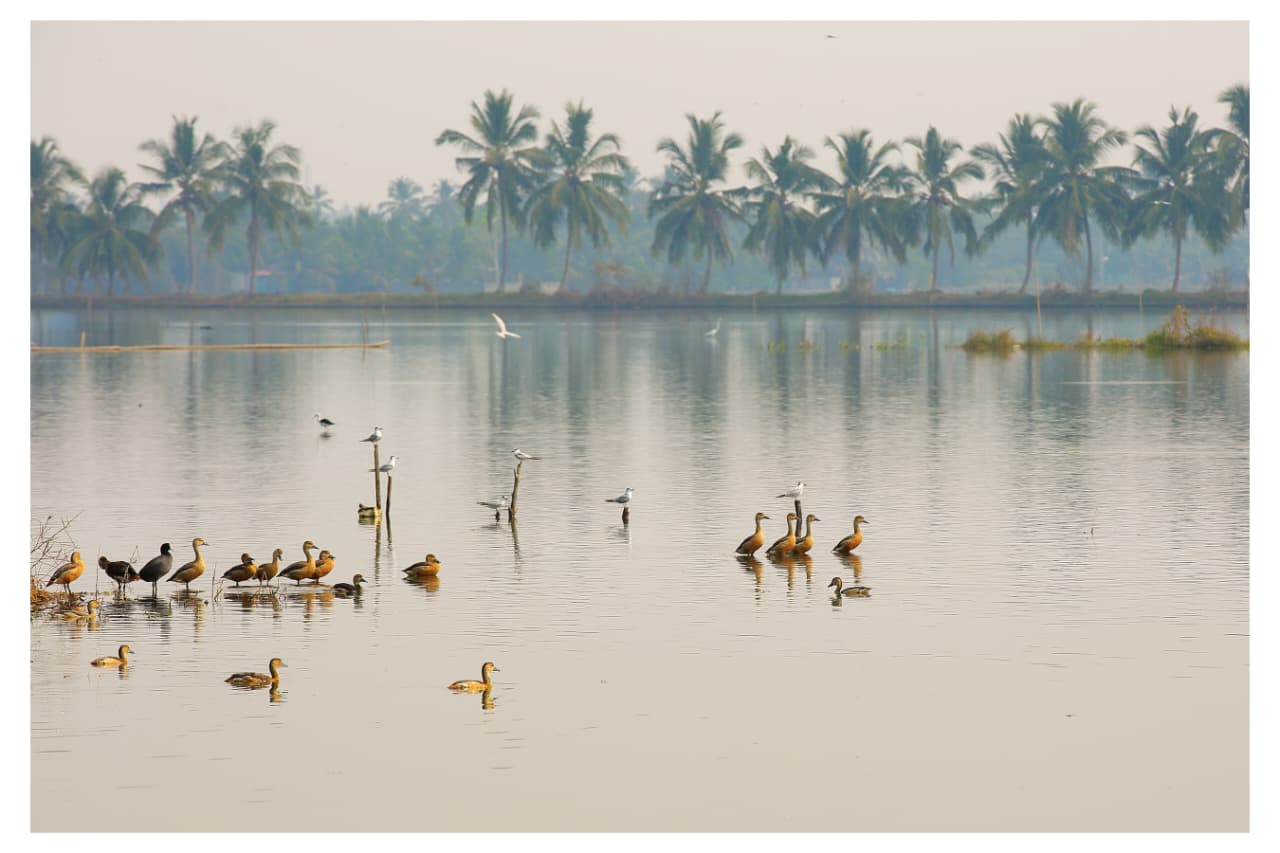 VALANTHAKADU ISLAND