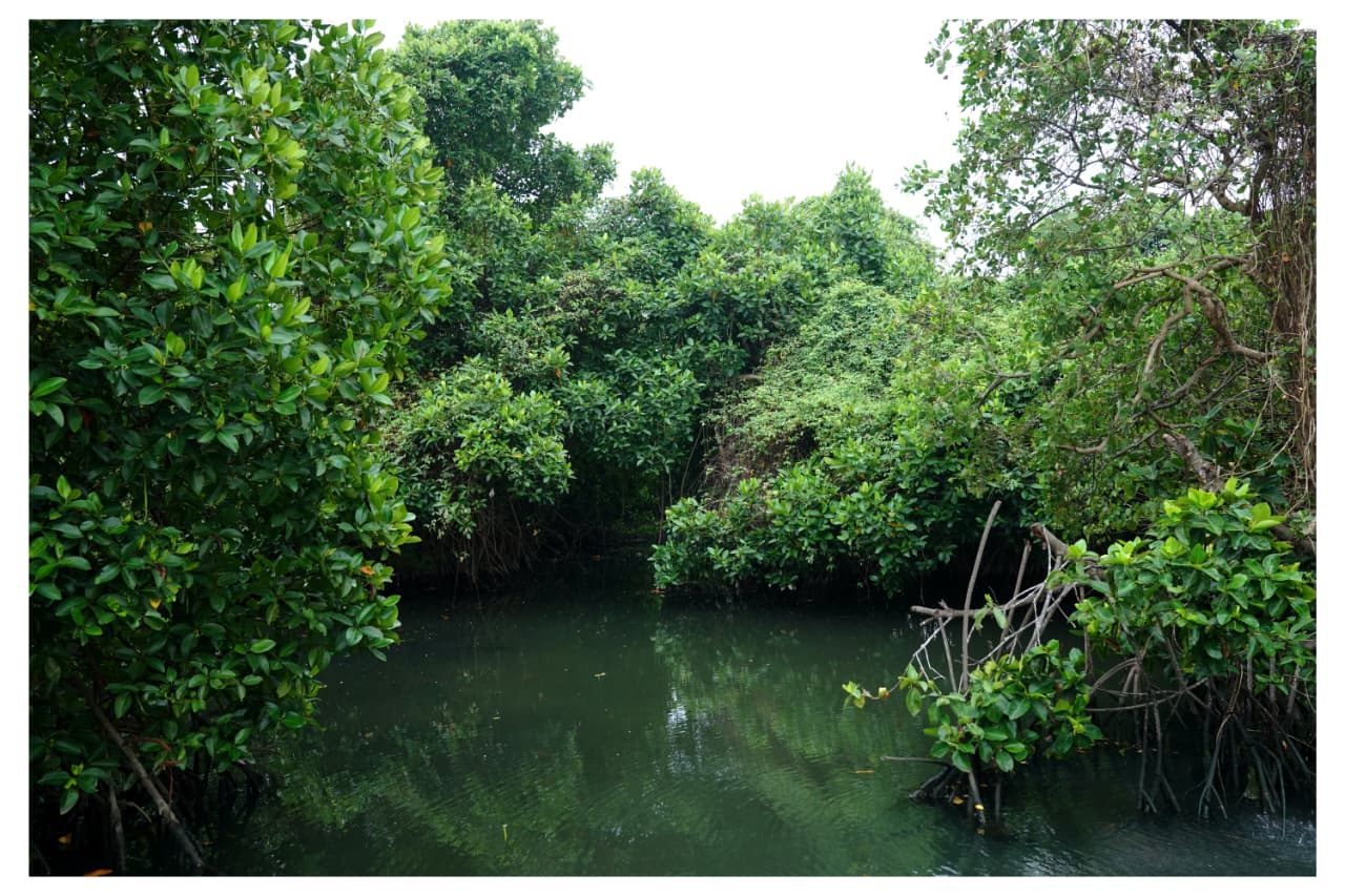 VALANTHAKADU ISLAND